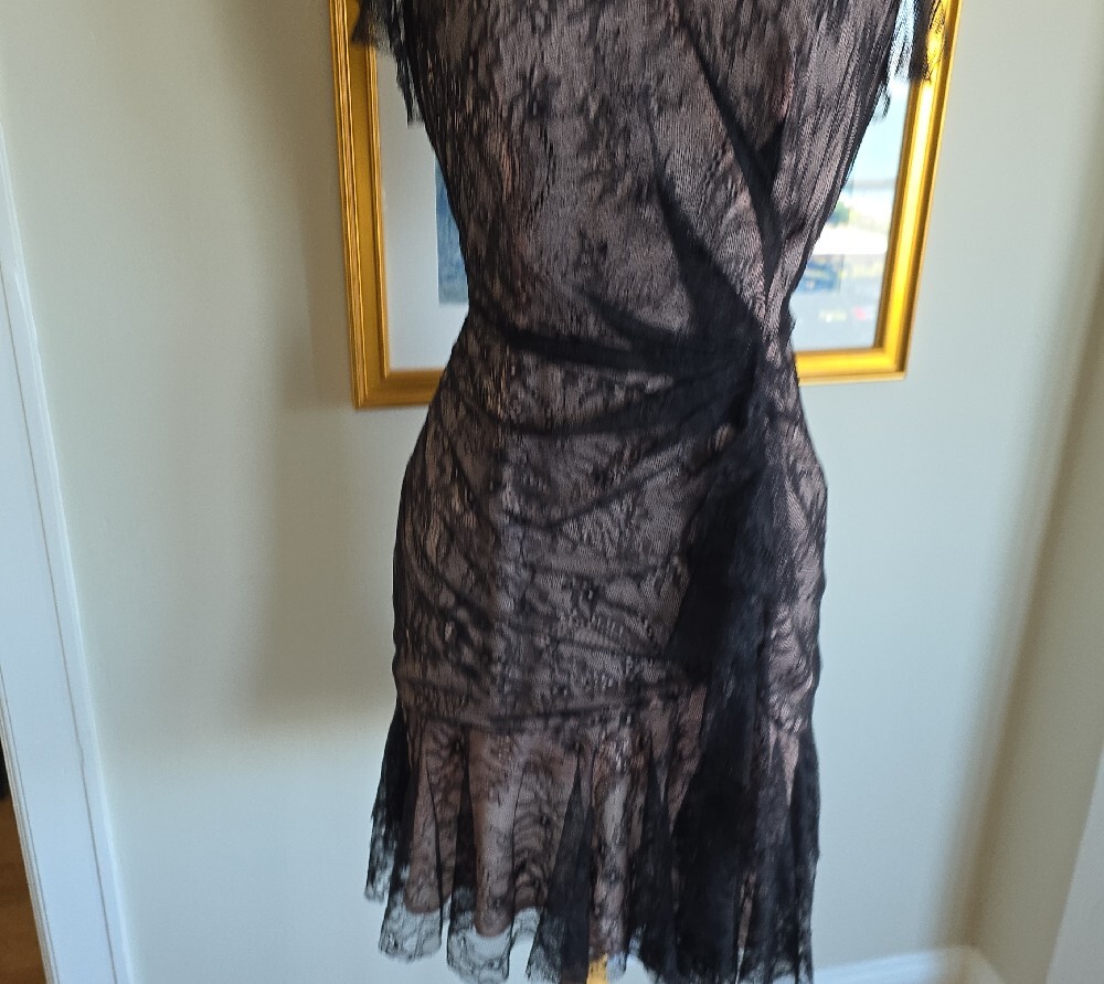 💙Yoana Baraschi Black Lace Overlay Dress - Picture 4 of 15